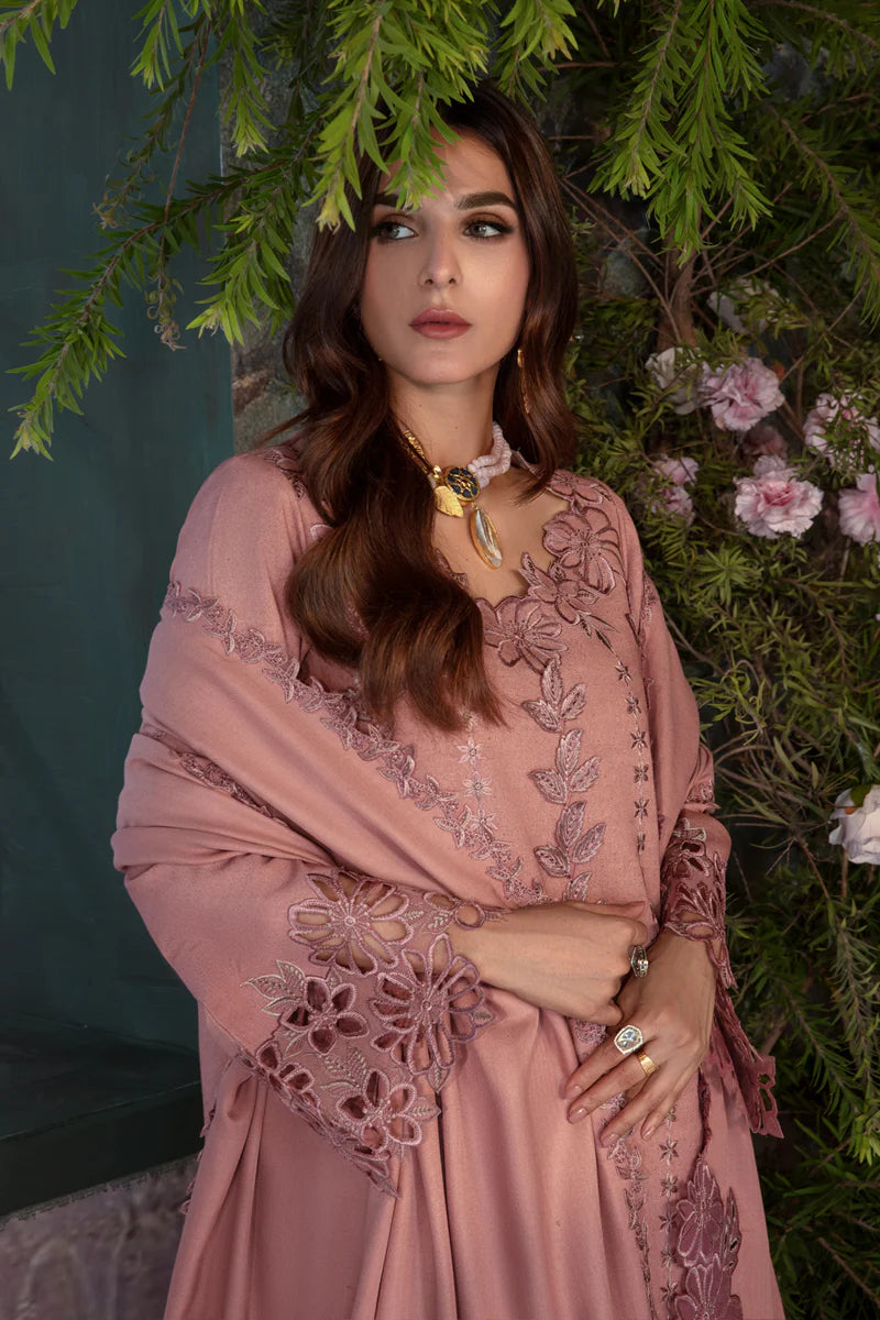 Rang Rasiya Premium Winter Edit '24 | CHAI