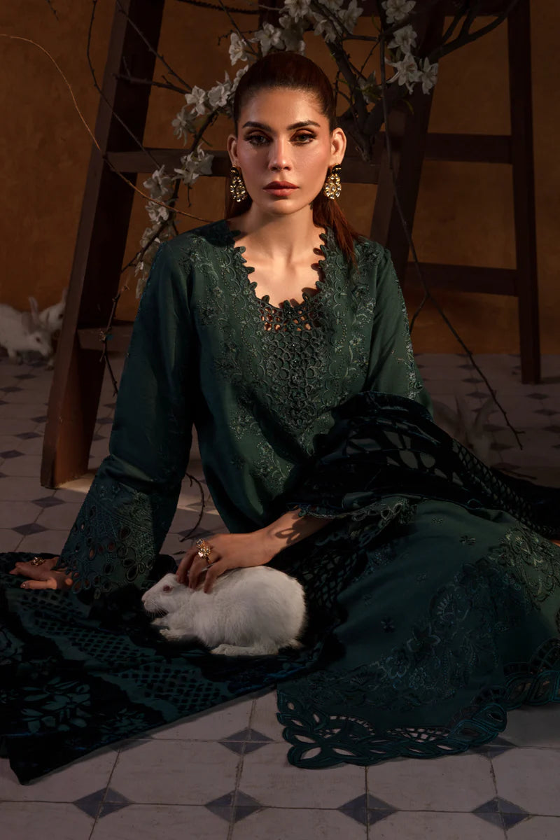 Rang Rasiya Premium Winter Edit '24 | Affogato