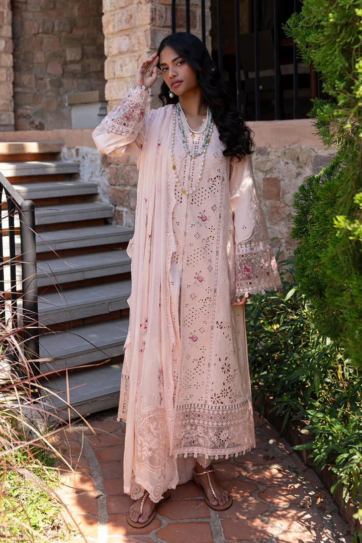 Qalamkar | Qline 1 '25 | QM-14 Neha