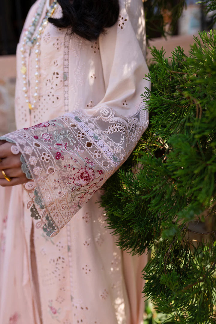 Qalamkar | Qline 1 '25 | QM-14 Neha