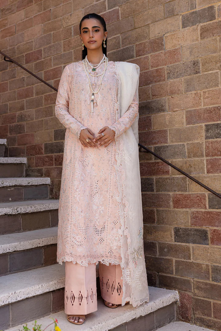 Qalamkar | Qline 1 '25 | QM-12 Miso