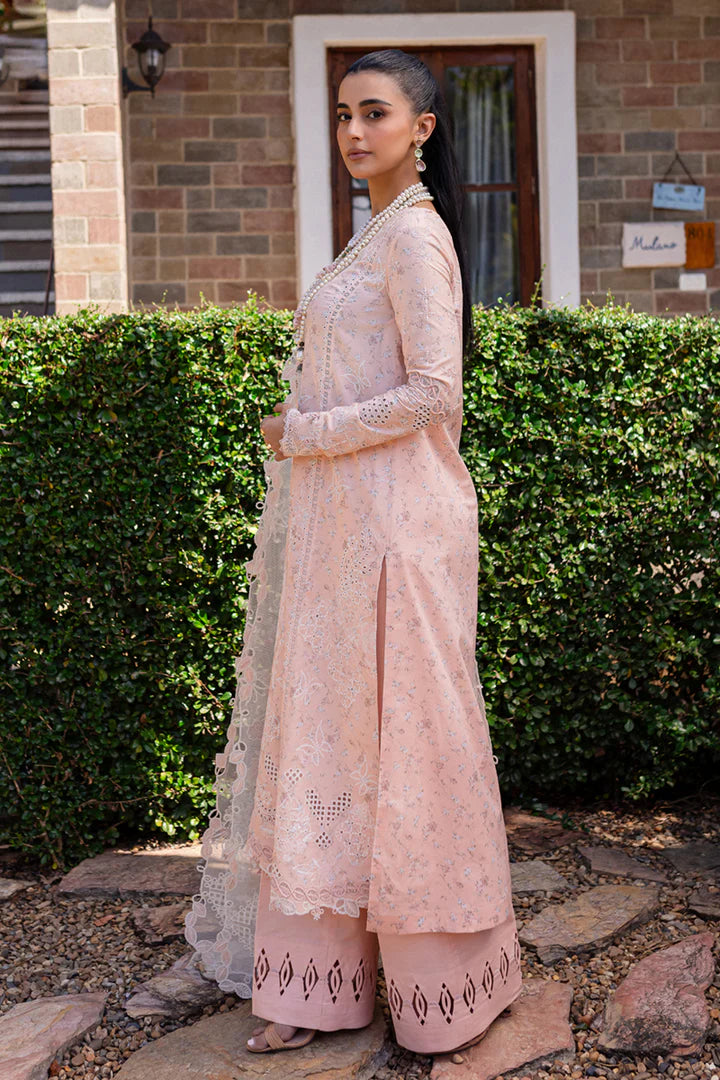 Qalamkar | Qline 1 '25 | QM-12 Miso