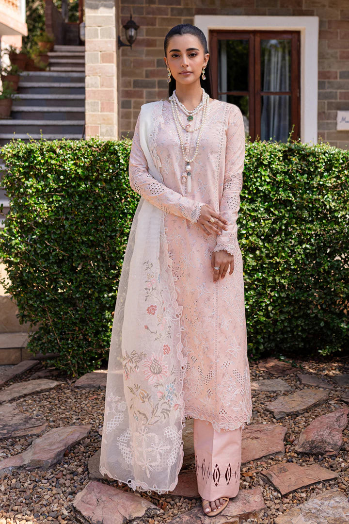 Qalamkar | Qline 1 '25 | QM-12 Miso