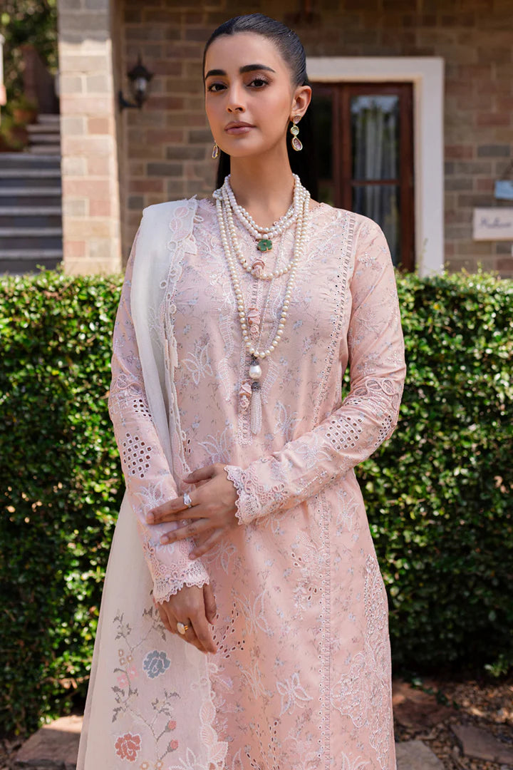 Qalamkar | Qline 1 '25 | QM-12 Miso