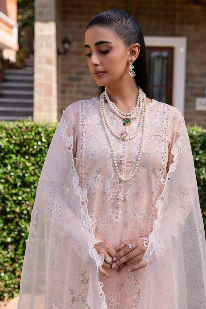 Qalamkar | Qline 1 '25 | QM-12 Miso