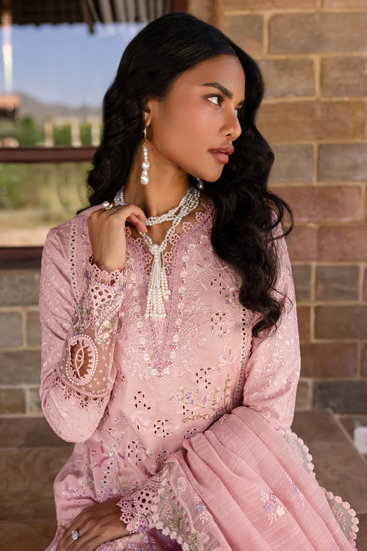 Qalamkar | Qline 1 '25 | QM-09 Rosalee