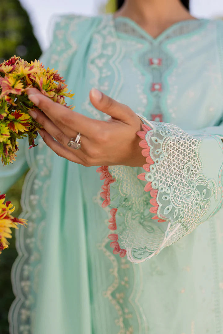 Qalamkar | Qline 1 '25 | QM-13 Helen