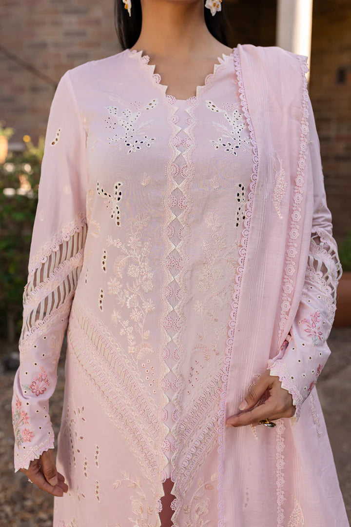 Qalamkar | Qline 1 '25 | QM-03 Rune