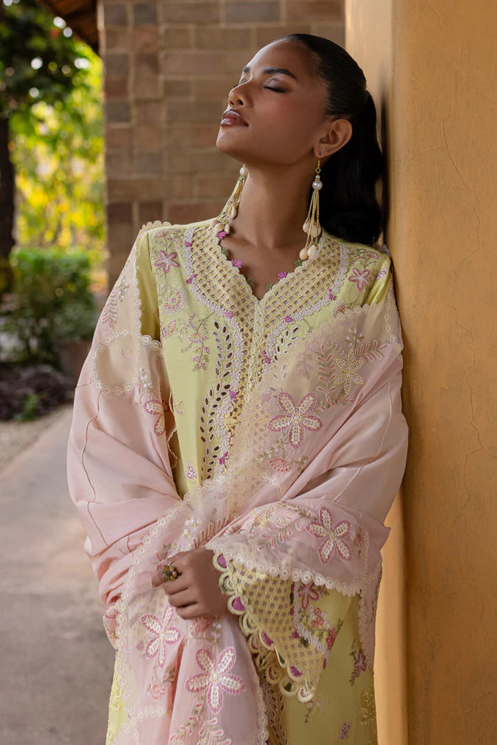 Qalamkar | Qline 1 '25 | QM-11 Ina