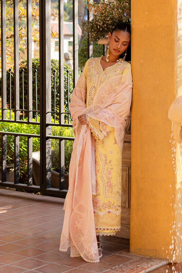 Qalamkar | Qline 1 '25 | QM-11 Ina