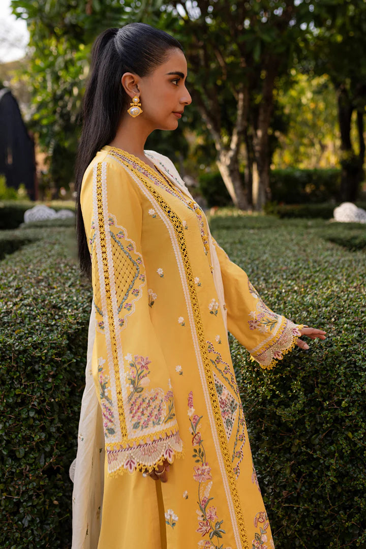 Qalamkar | Qline 1 '25 | QM-10 Olena