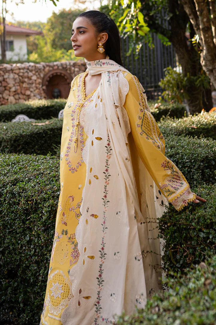 Qalamkar | Qline 1 '25 | QM-10 Olena