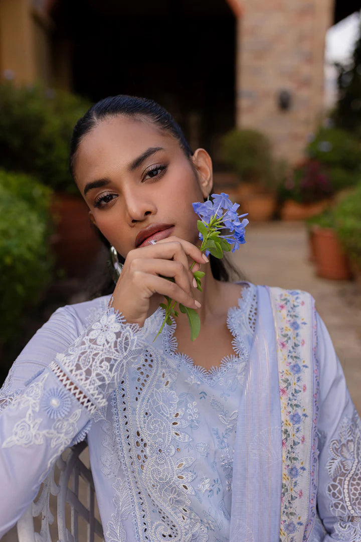 Qalamkar | Qline 1 '25 | QM-17 Lyla