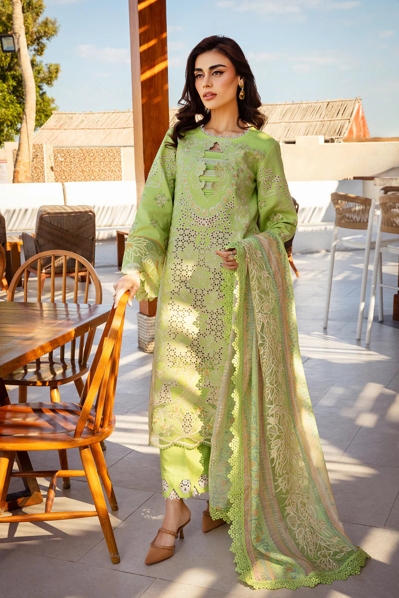 Rang Rasiya Premium Summer Collection '25 | Elaheh
