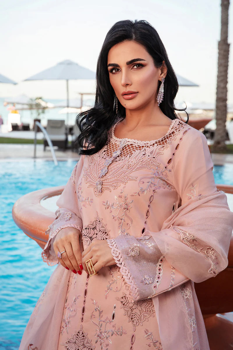 Rang Rasiya Premium Summer Collection '25 | Amani