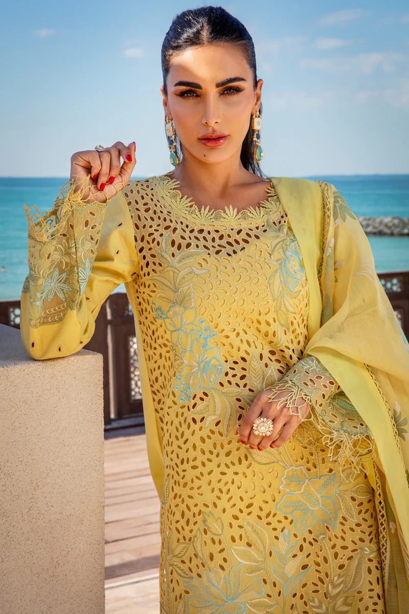 Rang Rasiya Premium Summer Collection '25 | Minal
