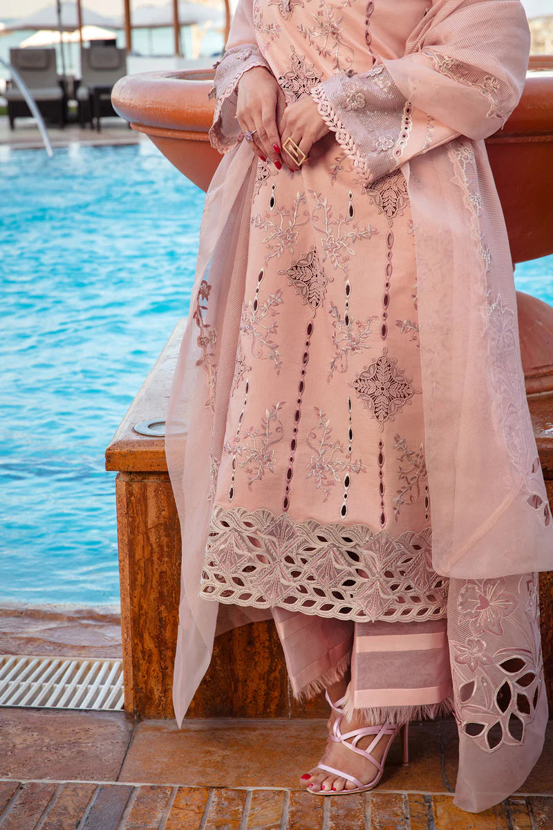 Rang Rasiya Premium Summer Collection '25 | Amani