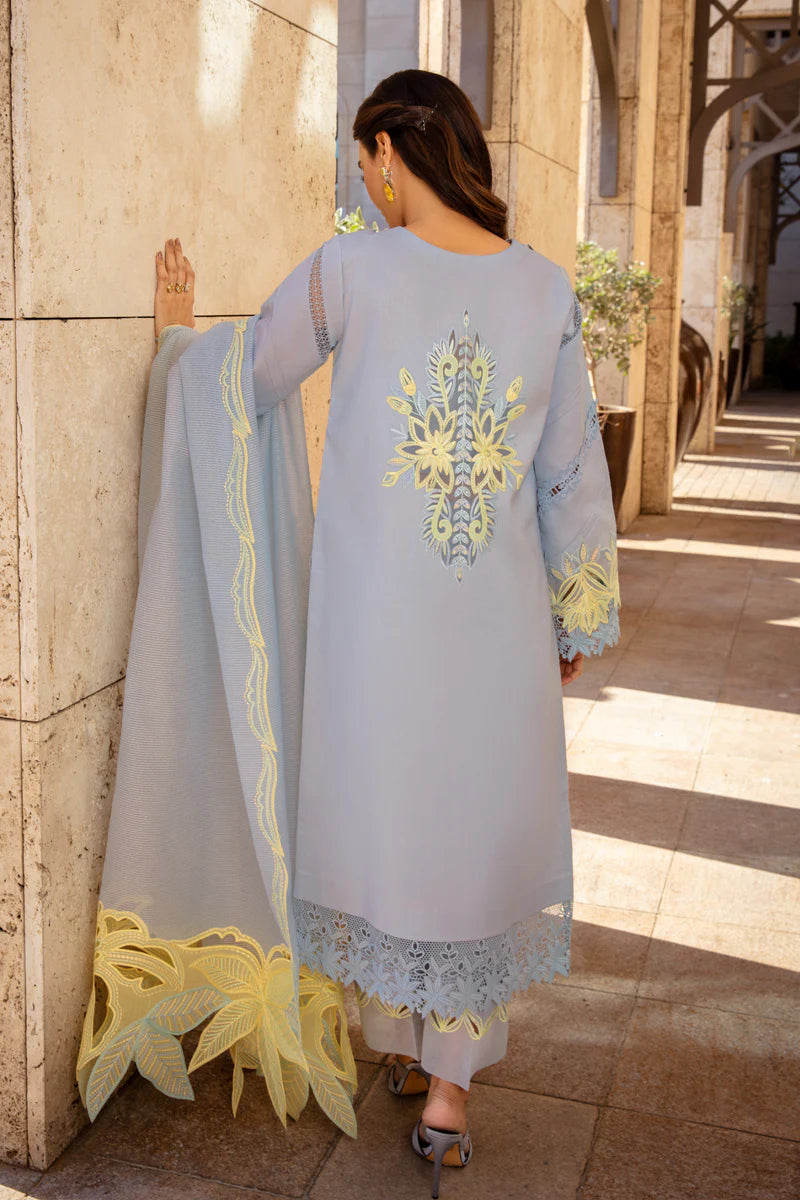 Rang Rasiya Premium Summer Collection '25 | Elnaz