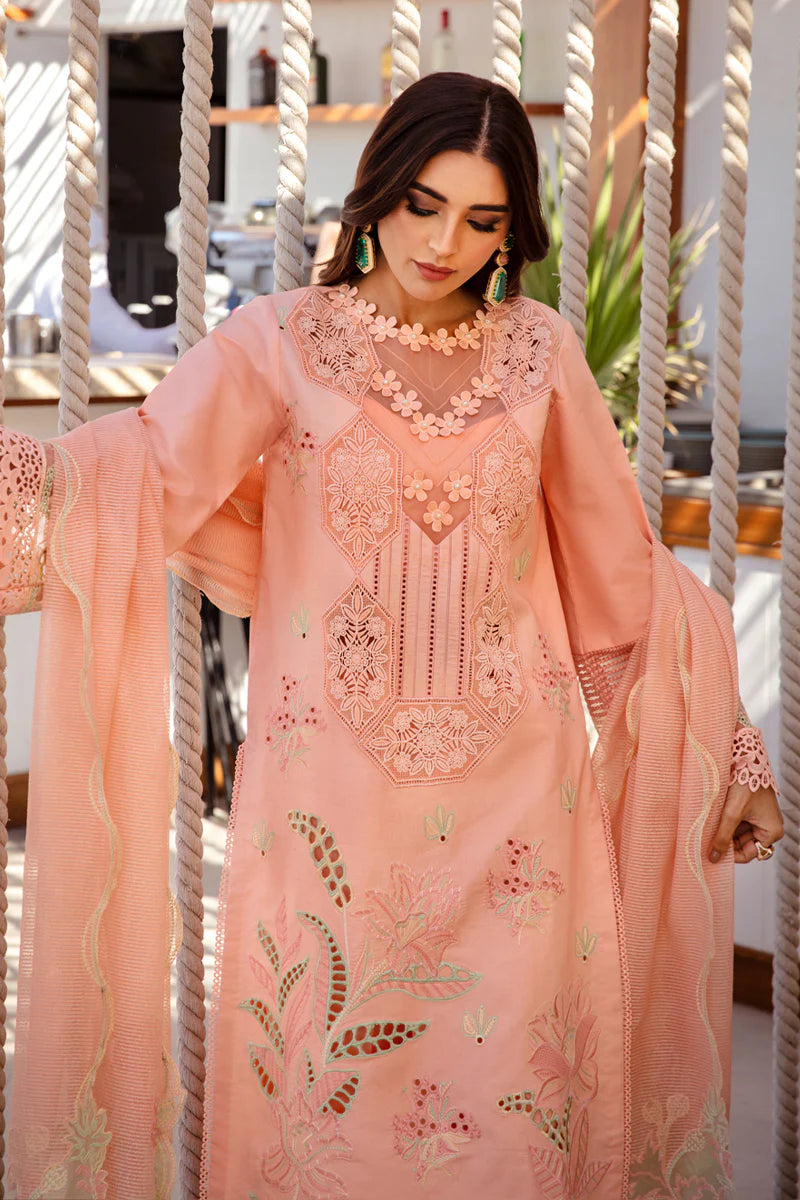 Rang Rasiya Premium Summer Collection '25 | Bareeha