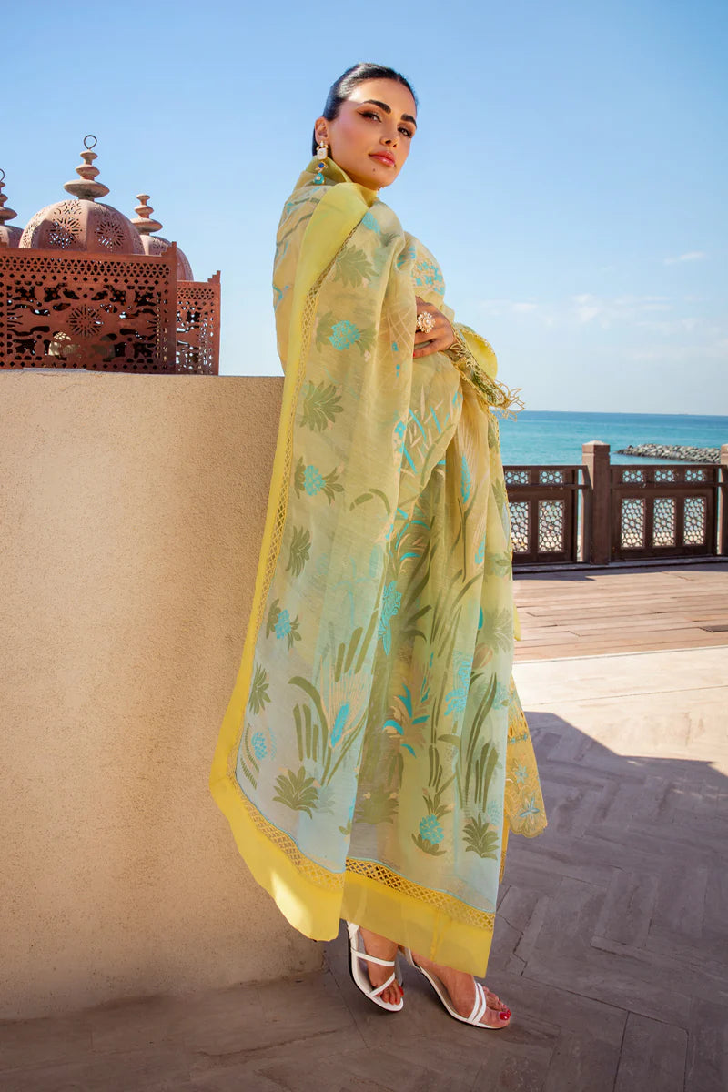 Rang Rasiya Premium Summer Collection '25  | Minal