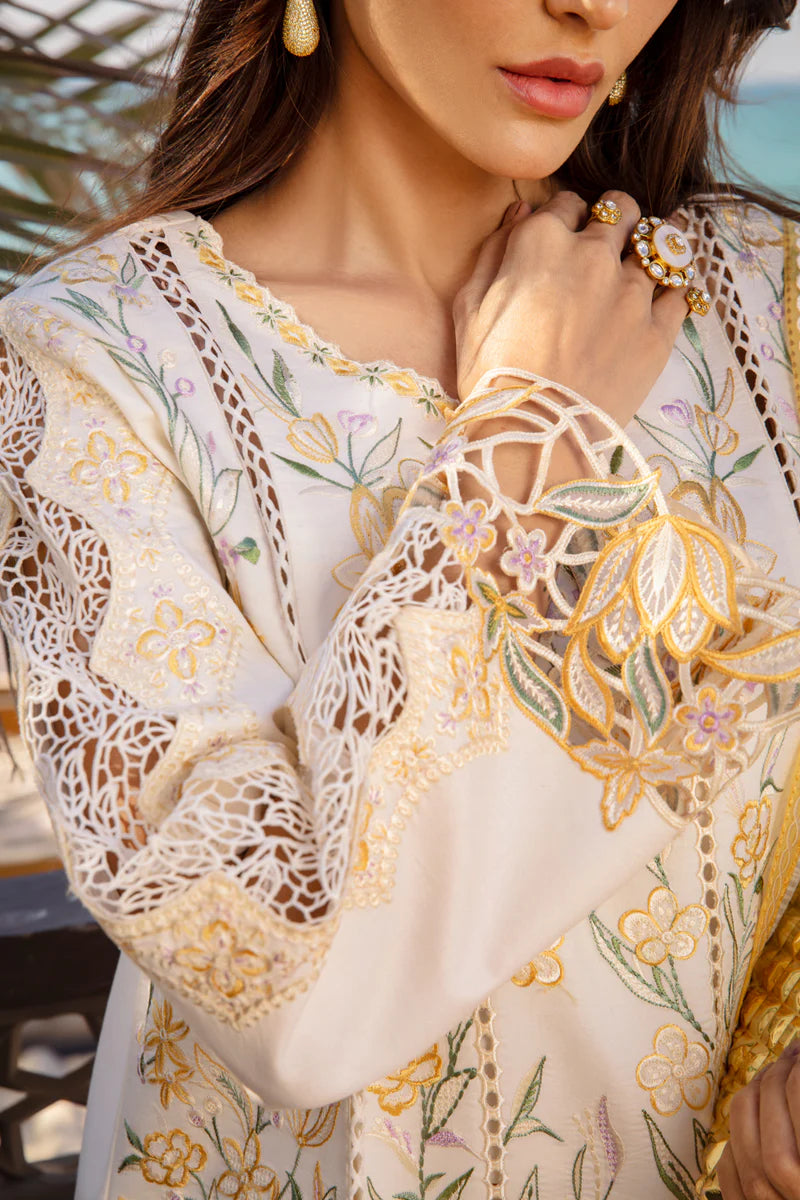 Rang Rasiya Premium Summer Collection '25 | Nooreh