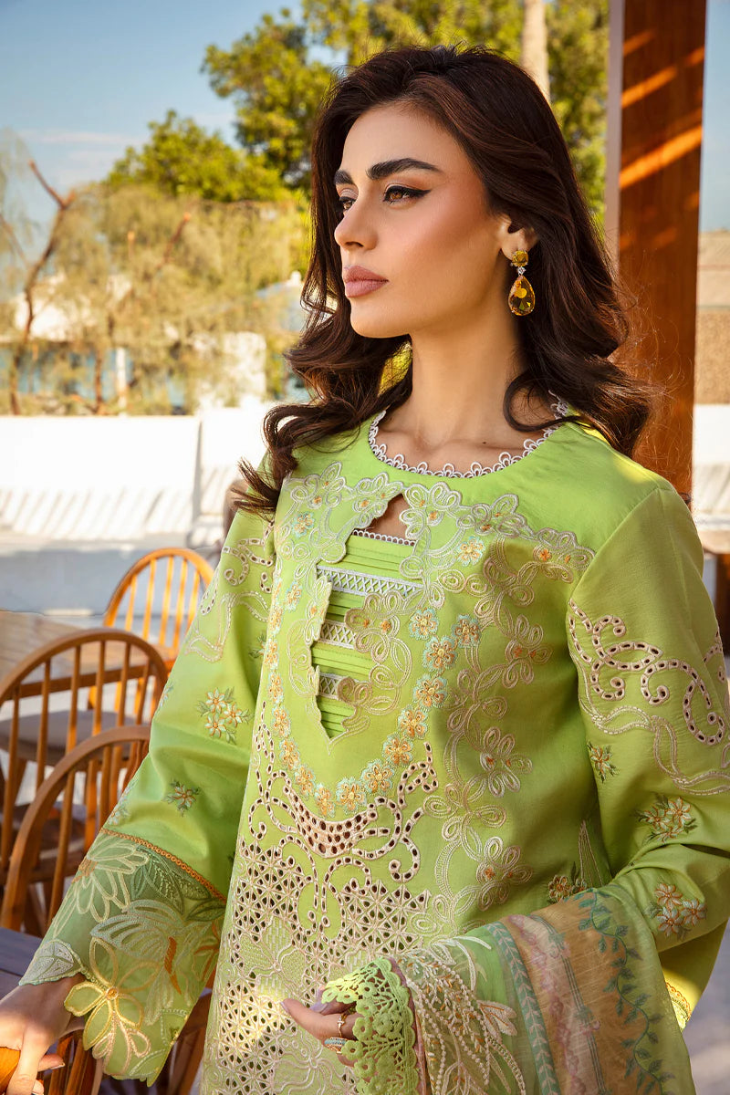 Rang Rasiya Premium Summer Collection '25 | Elaheh