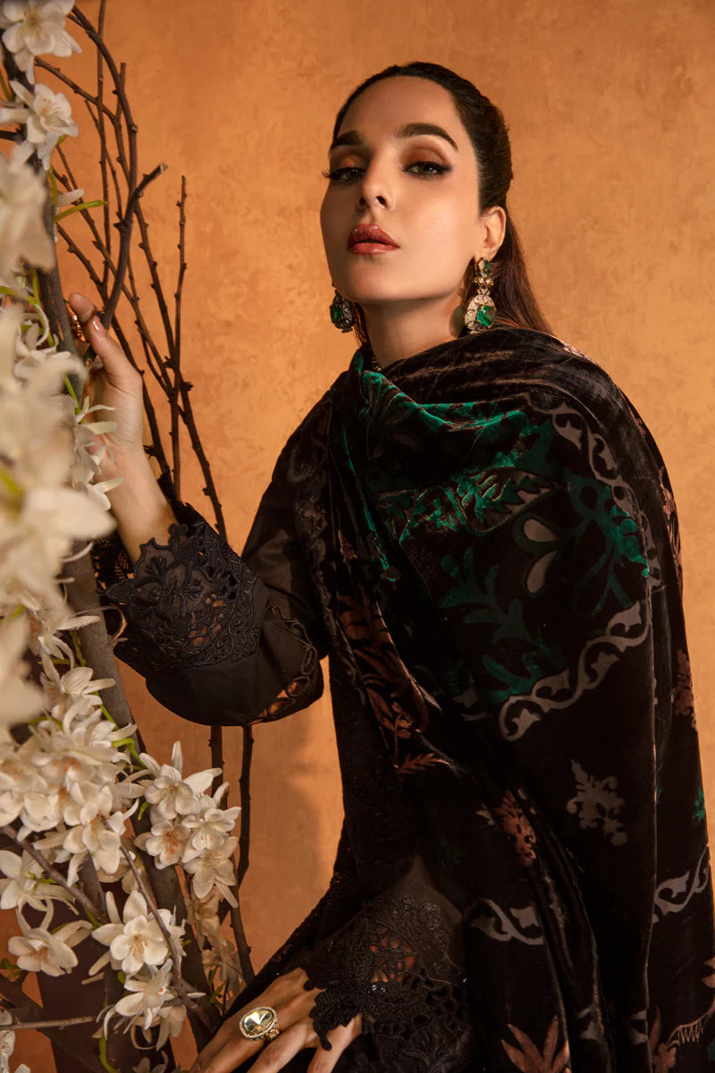 Rang Rasiya Premium Winter Edit '24 | Espresso