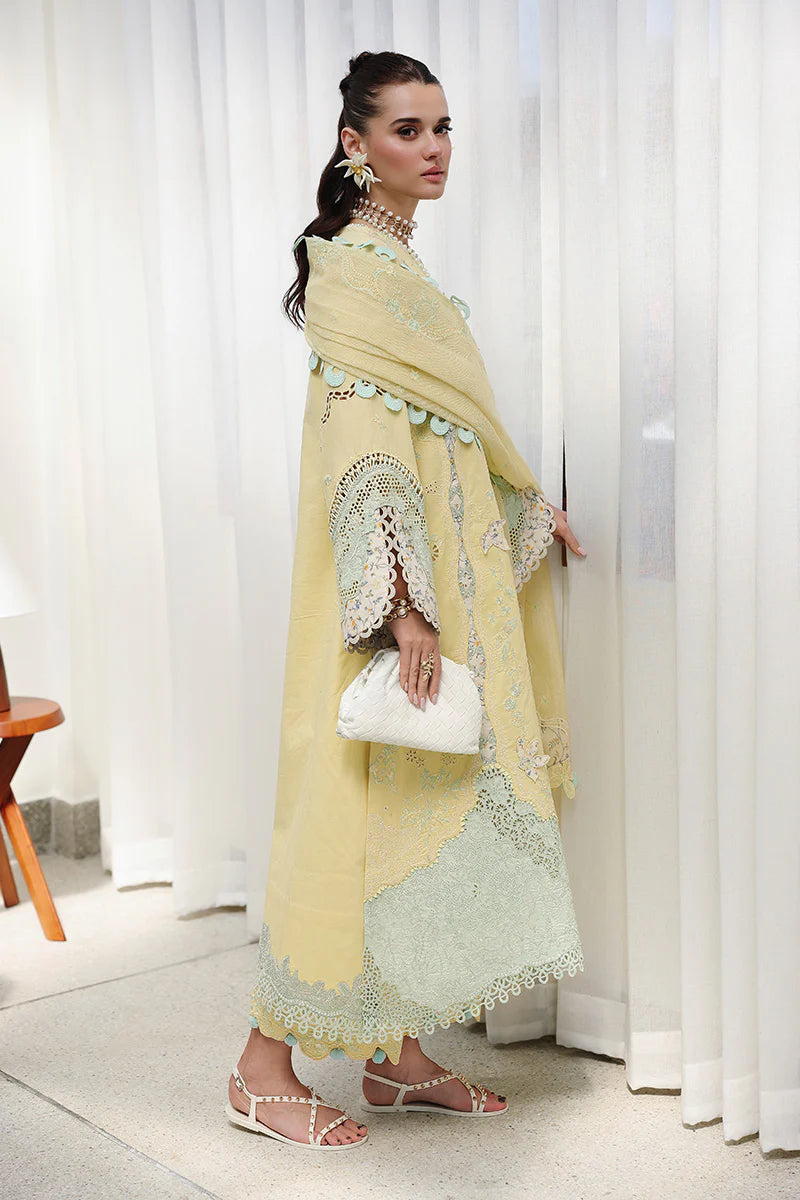 Qalamkar| Chikankari Eid Edit '26 | CM-02 AYLA