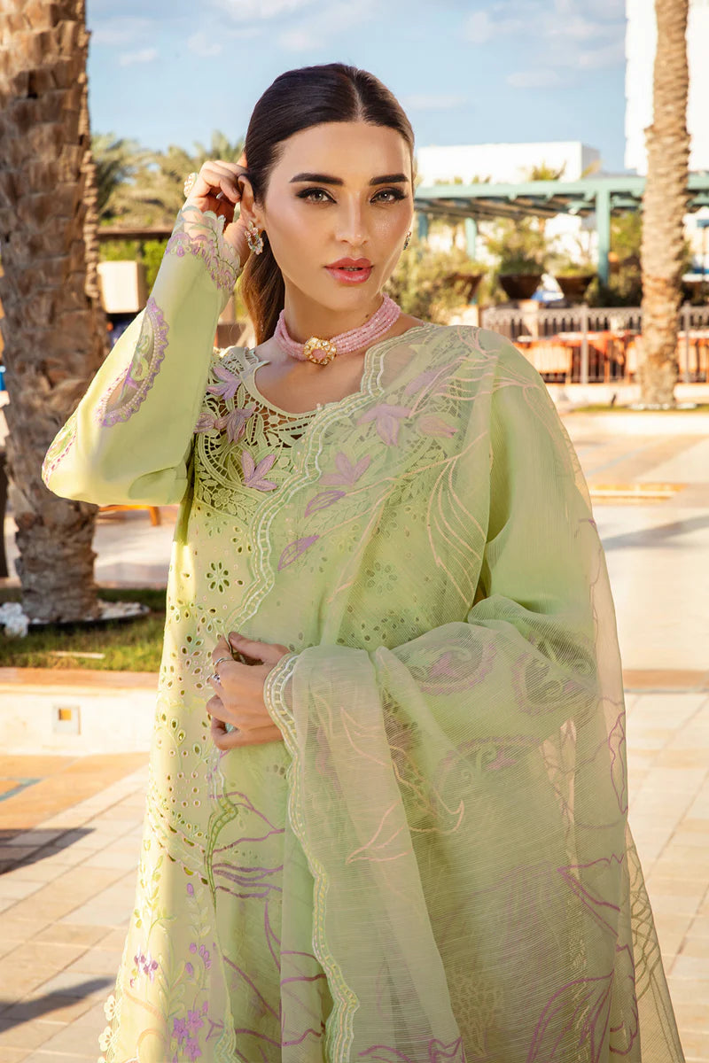 Rang Rasiya Premium Summer Collection '25 | Ayleen